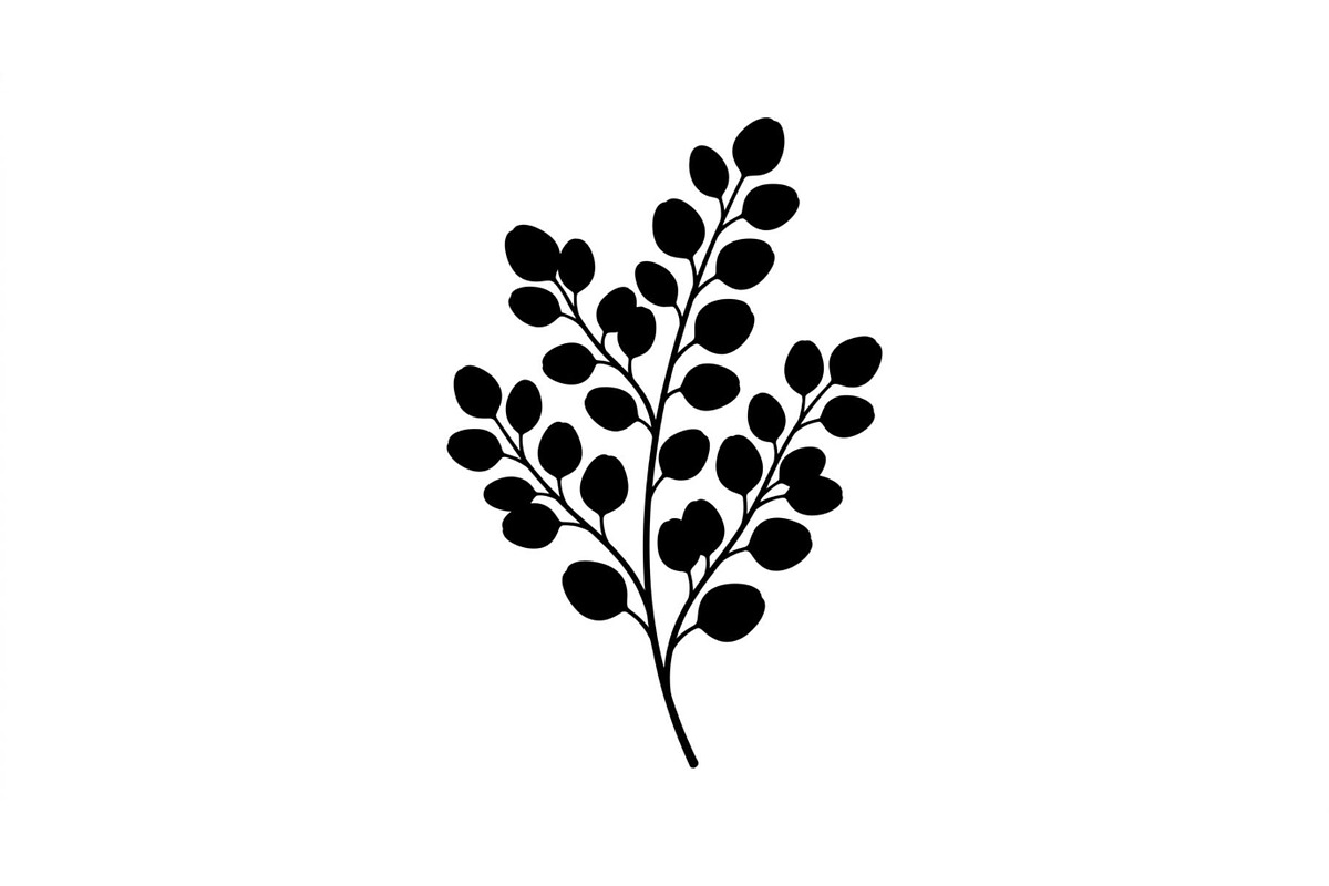 Eucalyptus Foliage Silhouette Set, an Object Graphic by Designs_River (Photo 3 of 3)