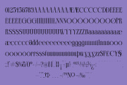Clerioo – Elegant Serif Display Font, a Serif Font by MooneseyeType (Thumbnail 5 of 10)