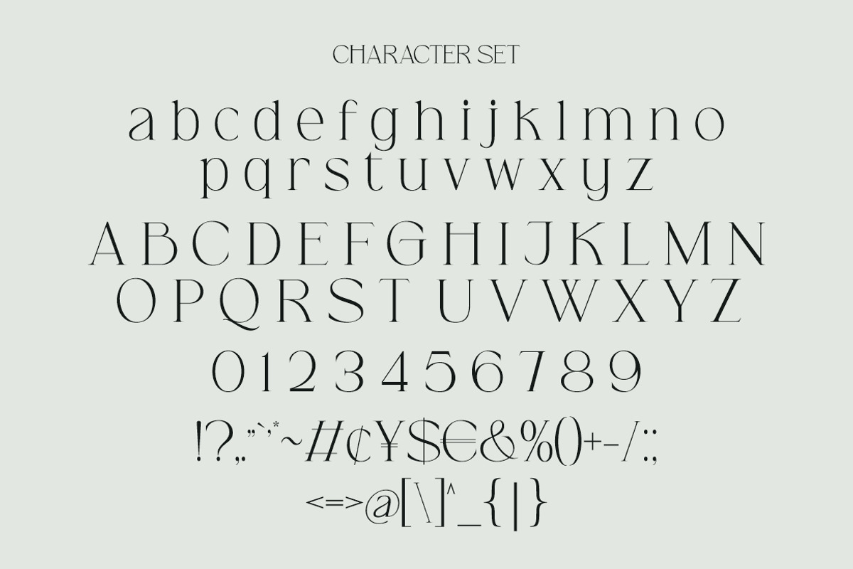 Vailery Font - Modern Serif Font, a Serif Font by HansCo Studio (Photo 8 of 10)
