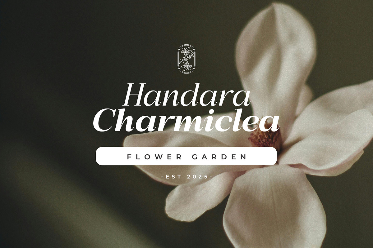 Bigsmile Serif Family, a Serif Font by Violet Natural (Photo 3 of 13)