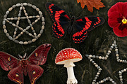 Witch's Magic Garden Collage Kit, an Object Illustration by Vicccky (Thumbnail 2 of 9)