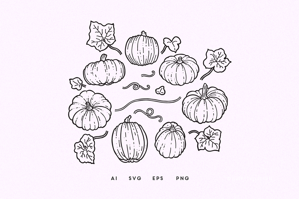 Pumpkin Patch vector pattern set, a Pattern Graphic by Palette Pursuit (Photo 7 of 11)