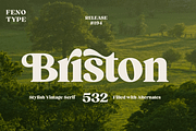 Briston Serif, a Serif Font by Fenotype (Thumbnail 1 of 14)