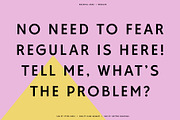 Rockhill Sans: A Diverse Sans Serif, a Sans Serif Font by Bnick (Thumbnail 5 of 23)