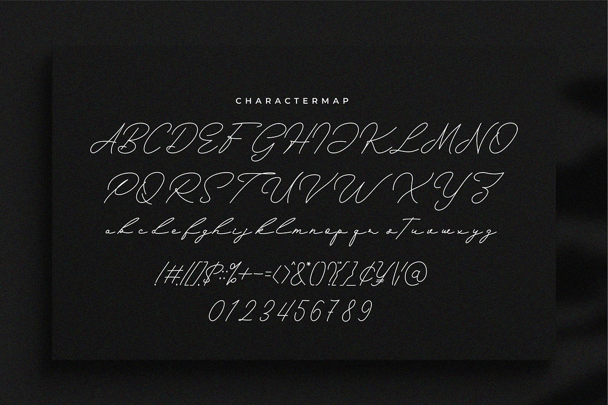 Rearles Harthone || Monoline Script, a Script Font by Idea Studio (Photo 5 of 5)