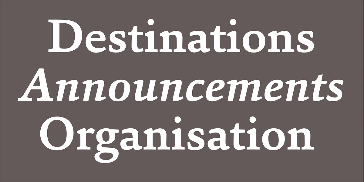 Sina, a Serif Font by Hoftype (Photo 3 of 15)