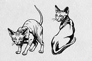 Sphynx Cat Illustration Pack, an Animal Illustration by Tekuni (Thumbnail 11 of 14)