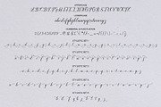 Canden Script, a Script Font by Artic Type (Thumbnail 5 of 6)