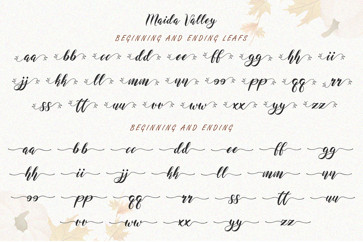 Maida Valley - Handwritten Font, a Script Font by erlosDESIGN (Photo 14 of 14)
