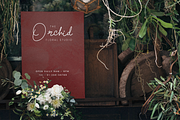 Tranquil Dream – Soothing Script, a Script Font by Creacy Studio (Thumbnail 7 of 11)