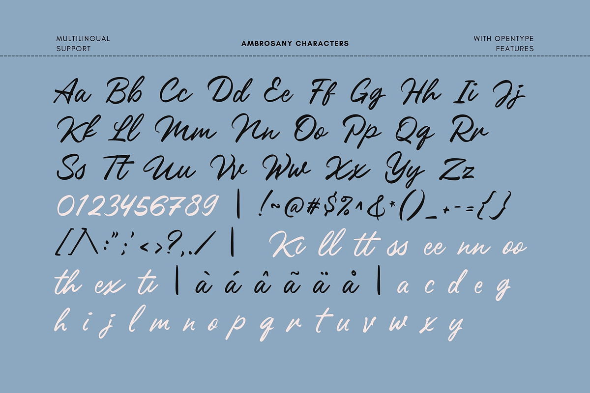 Ambrosany Script, a Script Font by Get Studio (Photo 13 of 14)
