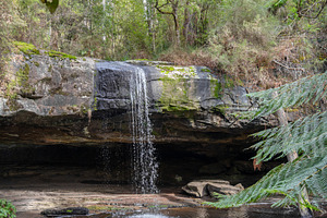 Kalimna Falls along Cumberland River trek, Great Ocean Road, Aus, a Nature Photo by GoodGoods
