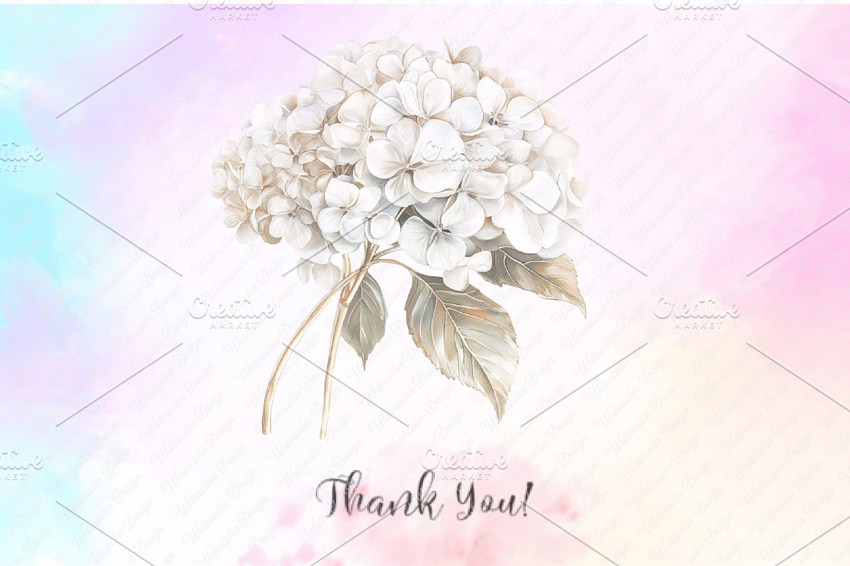 White Floral Clipart, an Illustration by Watercolor design (Photo 12 of 12)
