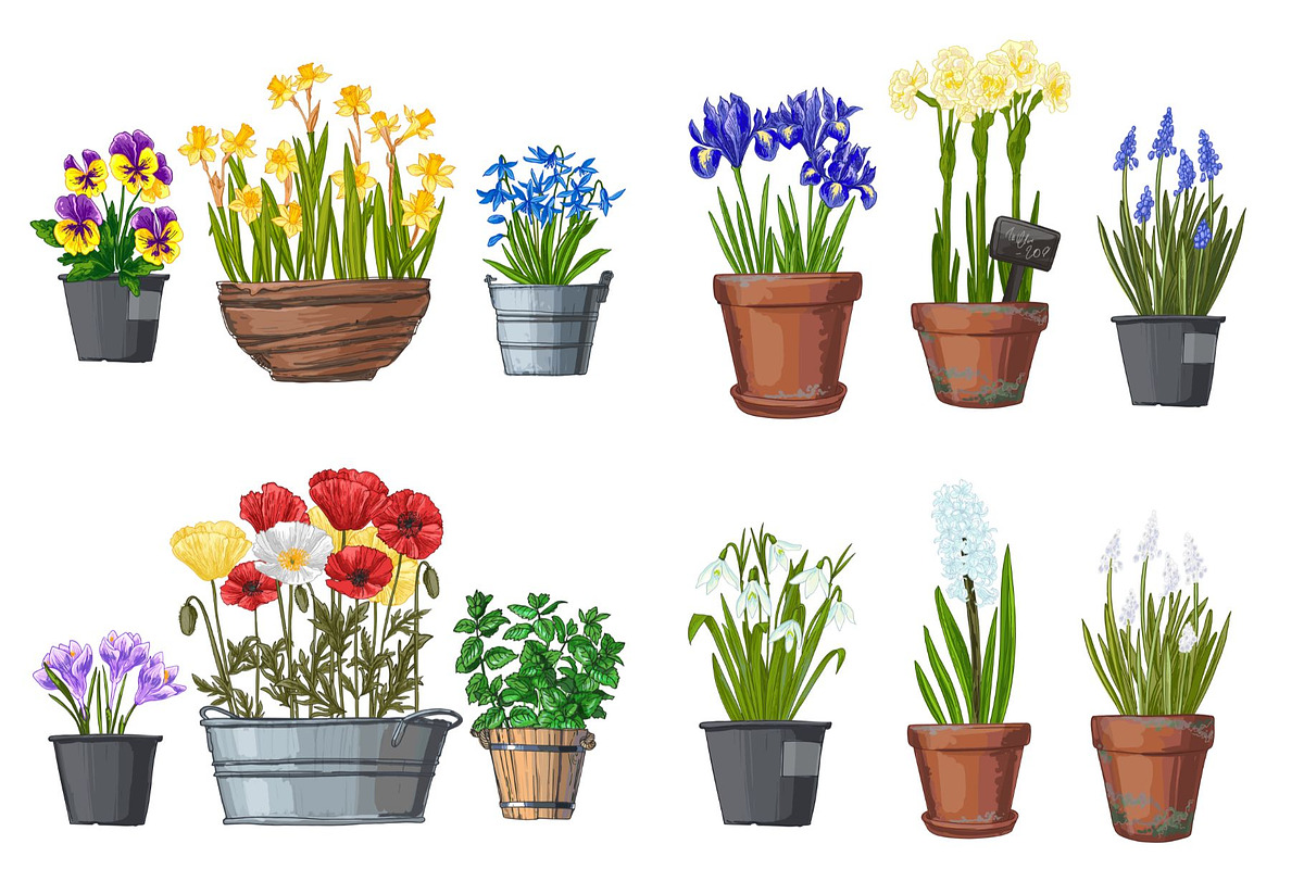 Garden flowers in pots. Vector, an Object Illustration by irina.vaneeva (Photo 4 of 7)
