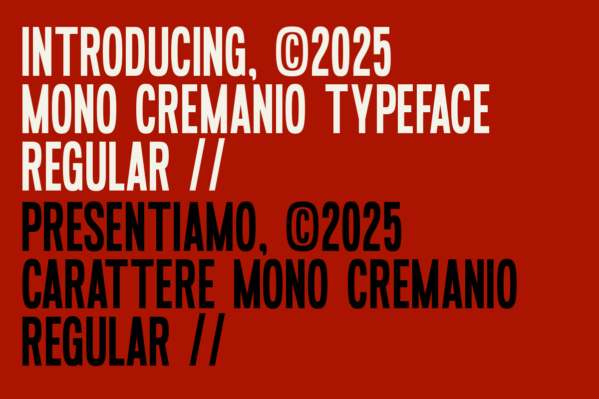 Mono Cremanio Modern Bold Font, a Sans Serif Font by Rasio Studio (Photo 5 of 12)