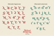 Brave Seasons - Modern Serif Font, a Serif Font by Font Liner (Thumbnail 12 of 14)