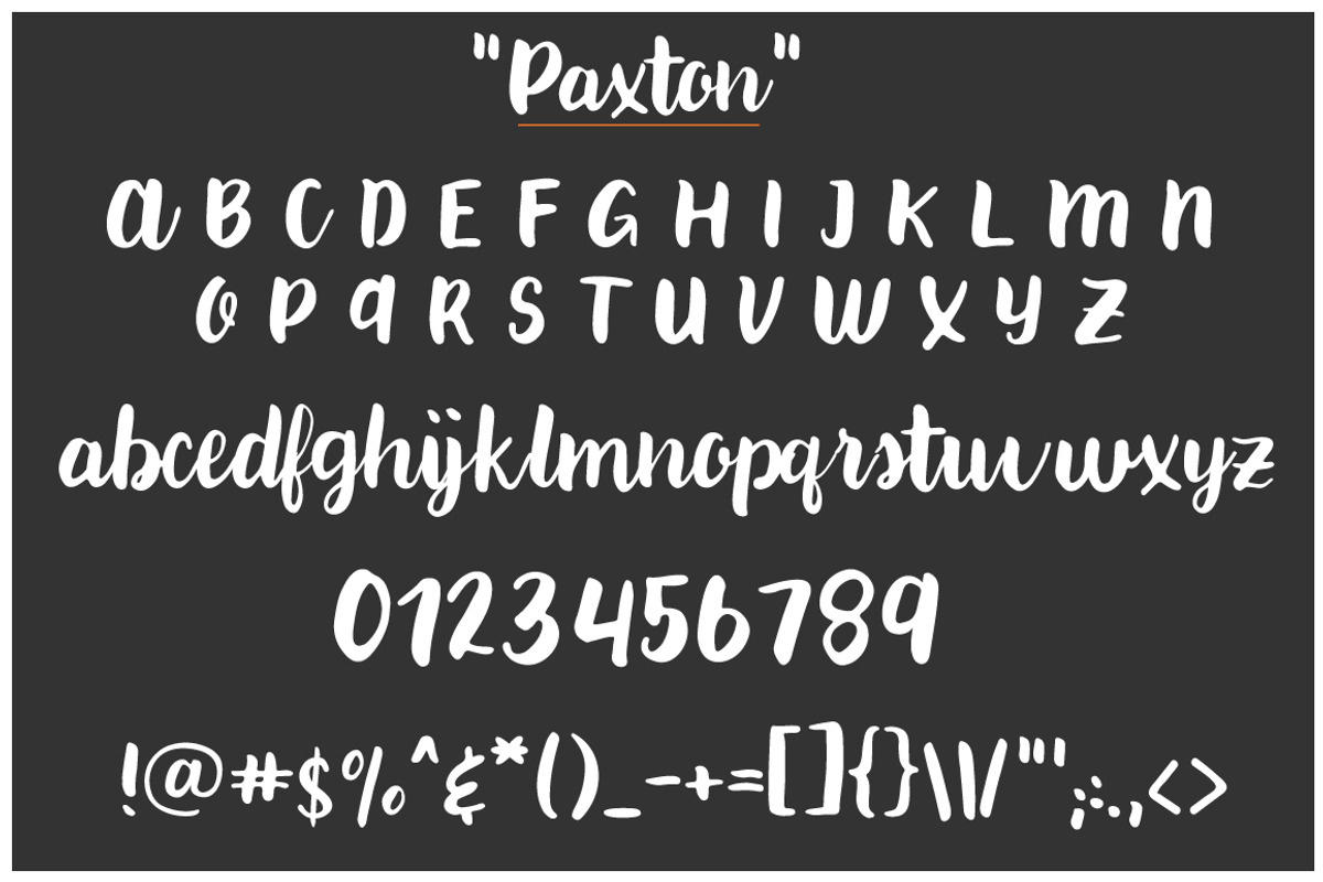 Paxton | A chic Hand written Font preview 7