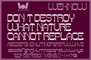Endangered Beauty font, a Sans Serif Font by weknow (Thumbnail 4 of 8)