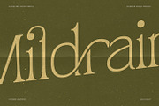 Mildrain, a Serif Font by din-studio.com (Thumbnail 3 of 10)