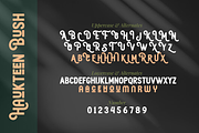 Haukteen Bush – Decorative Font, a Sans Serif Font by Vampstudio (Thumbnail 12 of 13)