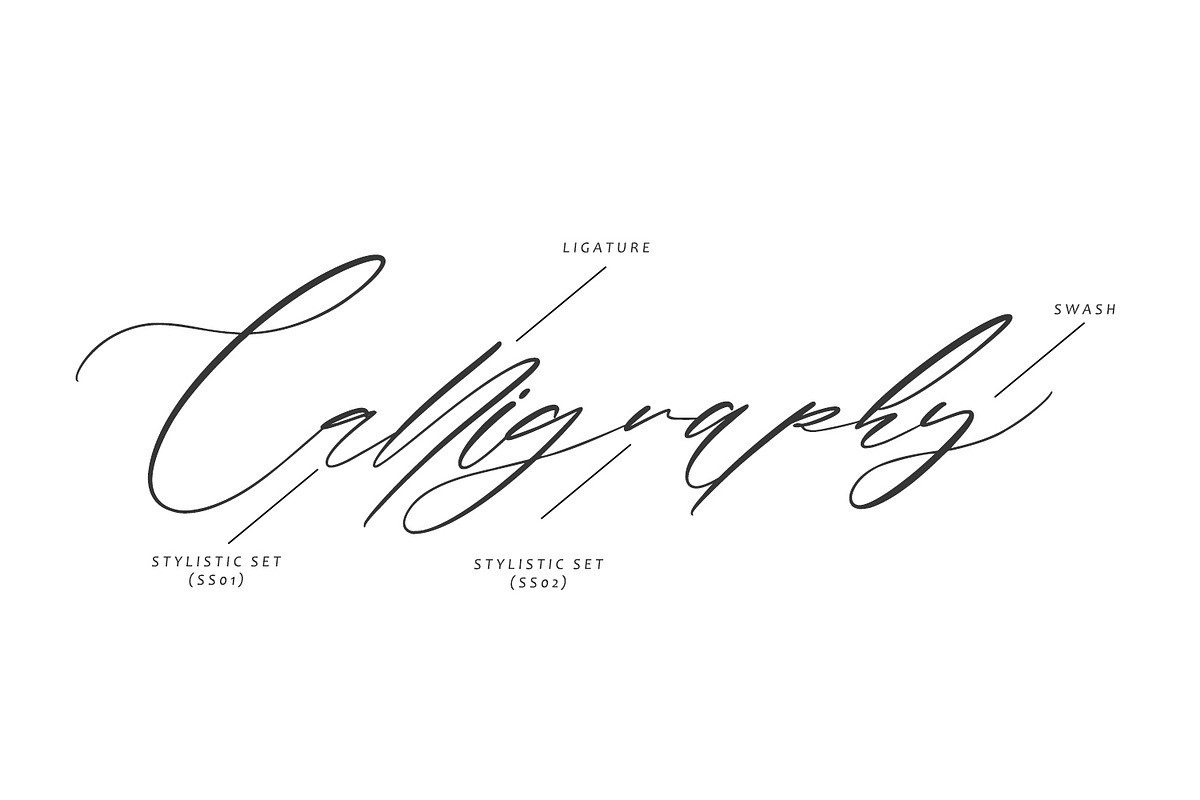 Soirees - Calligraphy Font, a Script Font by Arendxstudio (Photo 2 of 7)