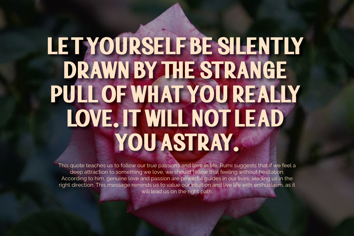 Bacute Display Sans Typeface, a Sans Serif Font by Afkari Studio (Photo 9 of 13)