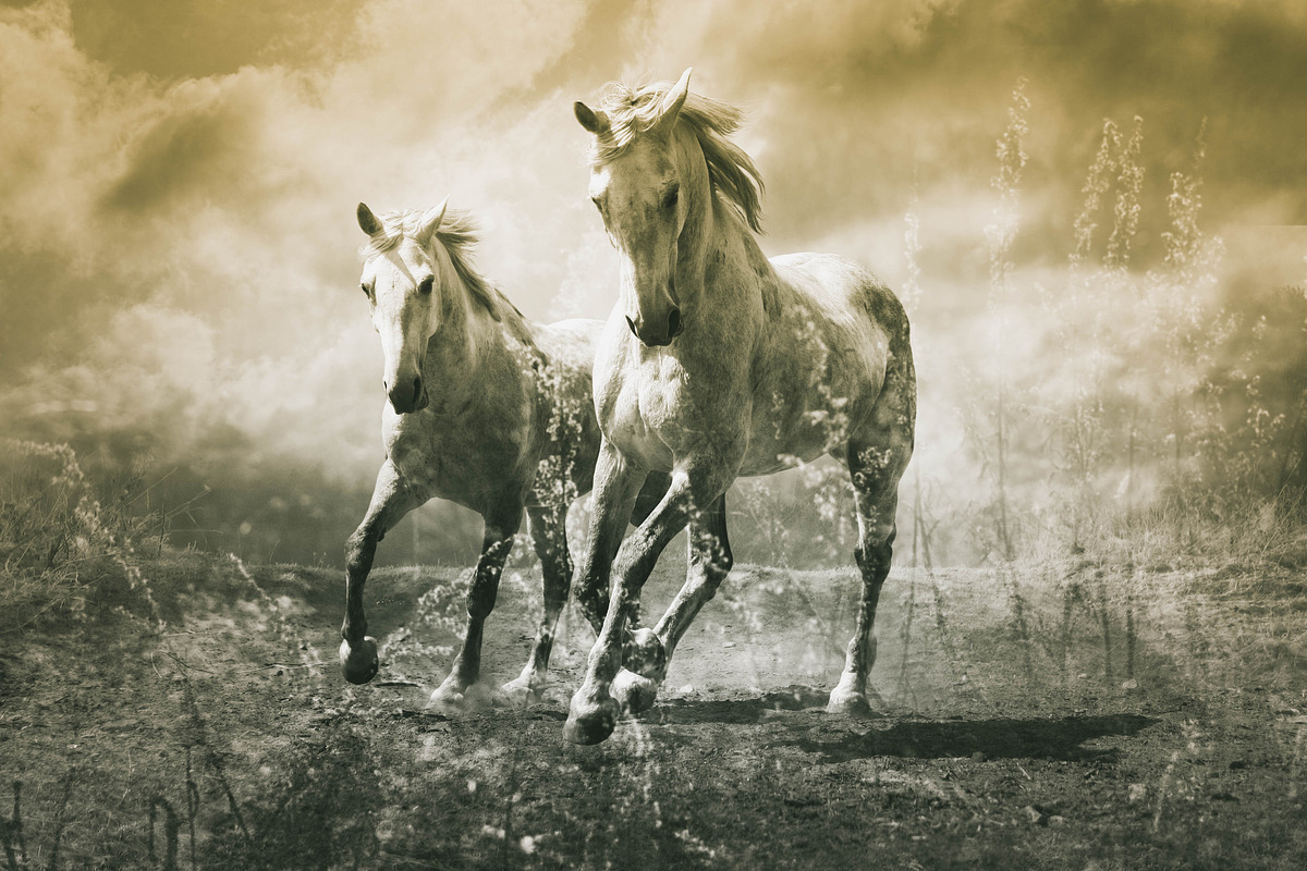 25 Dual Tone Landscape Presets, a Preset Add-On by Timeless Presets (Photo 8 of 10)