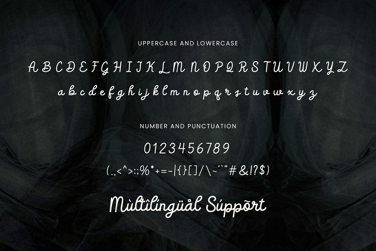Brodger – Retro Script Font, a Script Font by Imiftype Studio (Photo 9 of 11)