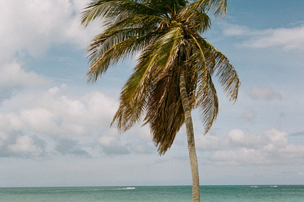 35mmFilm Stock Photo Caribbean Beach