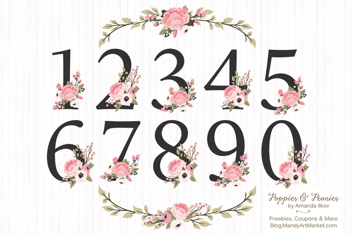 Soft Pink Floral Number Vectors, an Illustration by Amanda Ilkov (Photo 1 of 5)