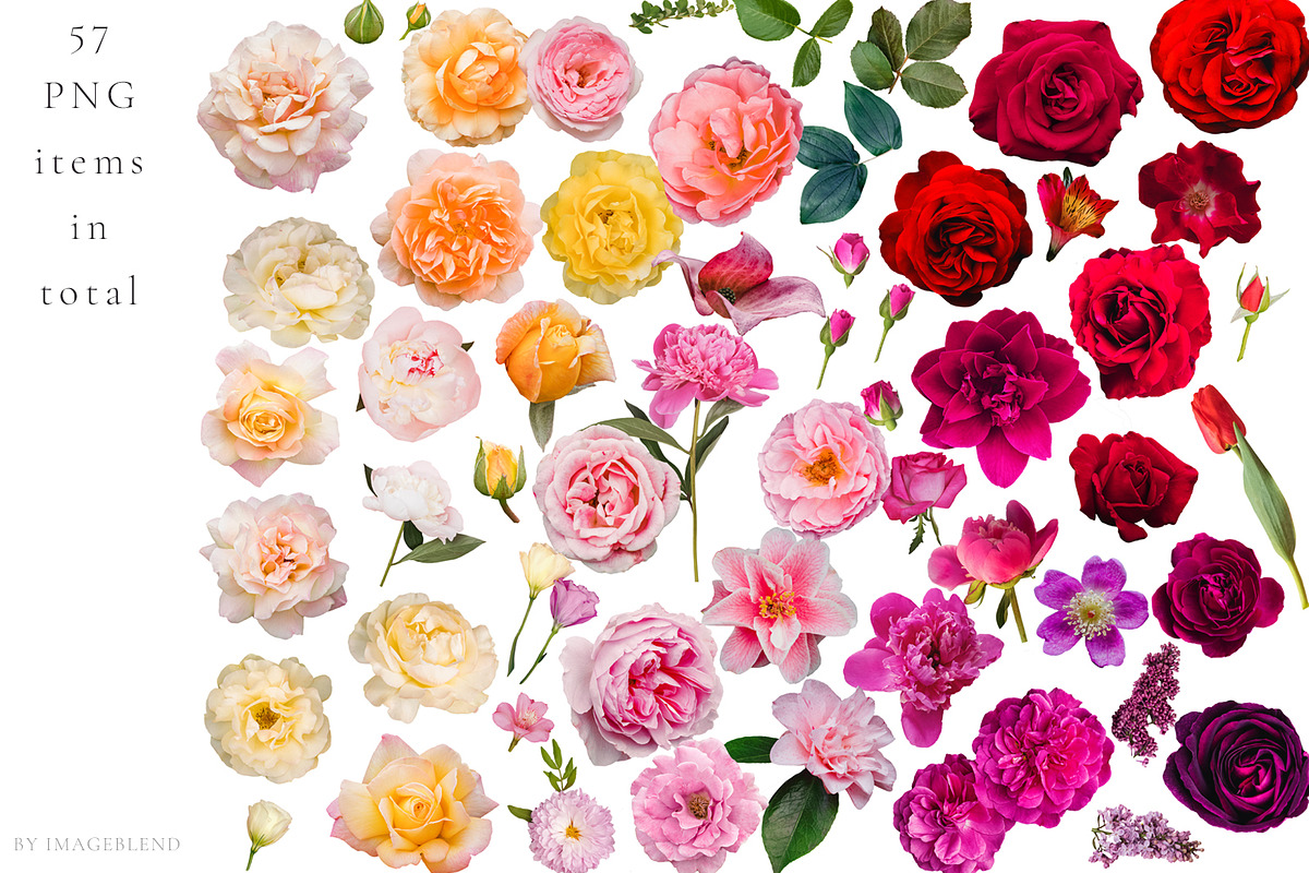 PNG Floral clipart collection, an Object Graphic by Imageblend (Photo 2 of 8)