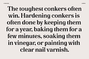 Lovechild, a Font by Simon Walker (Thumbnail 9 of 10)