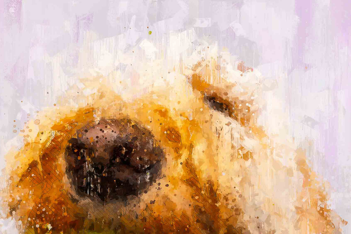 Impressionist Photoshop Action, an Action Add-On by AndriyFM (Photo 13 of 31)