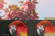Visions Actions And Texture Set 1, an Action Add-On by Forefathers (Thumbnail 2 of 5)