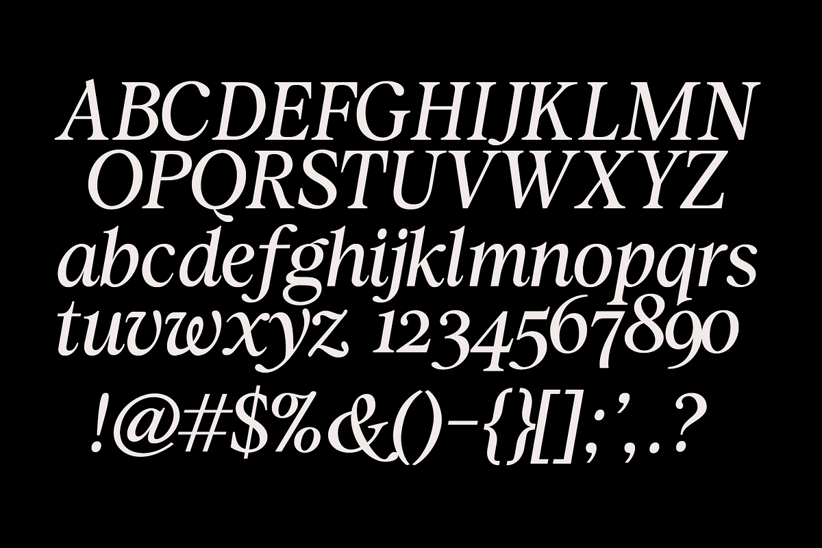 Zachariah Calligraphic Italic Serif, a Serif Font by Viswell (Photo 10 of 10)