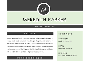 Modern 3 In 1 Word Resume