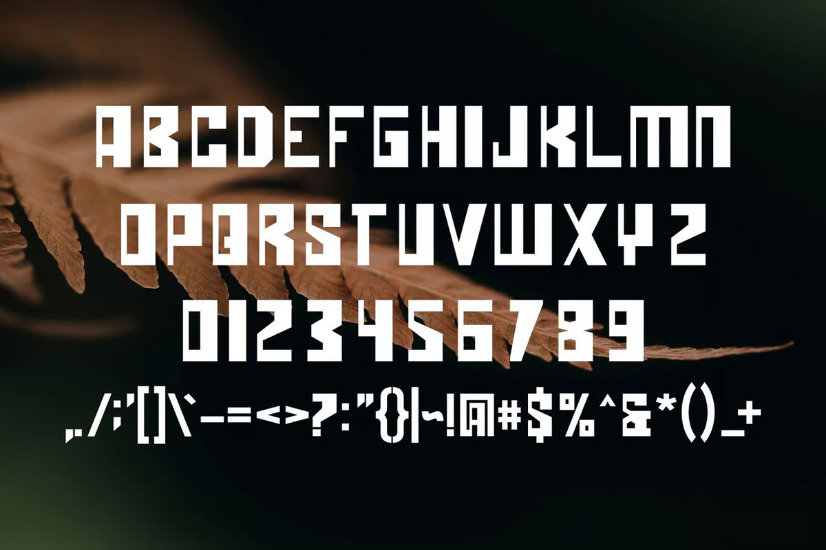 Chengbold, a Sans Serif Font by Auliacreative (Photo 2 of 4)