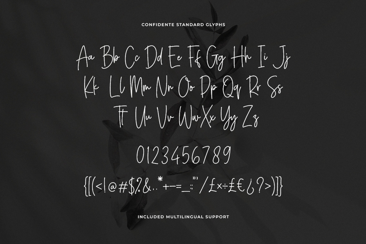 Confidente Signature Script Font, a Handwritten Font by Heinzel Std (Photo 16 of 16)