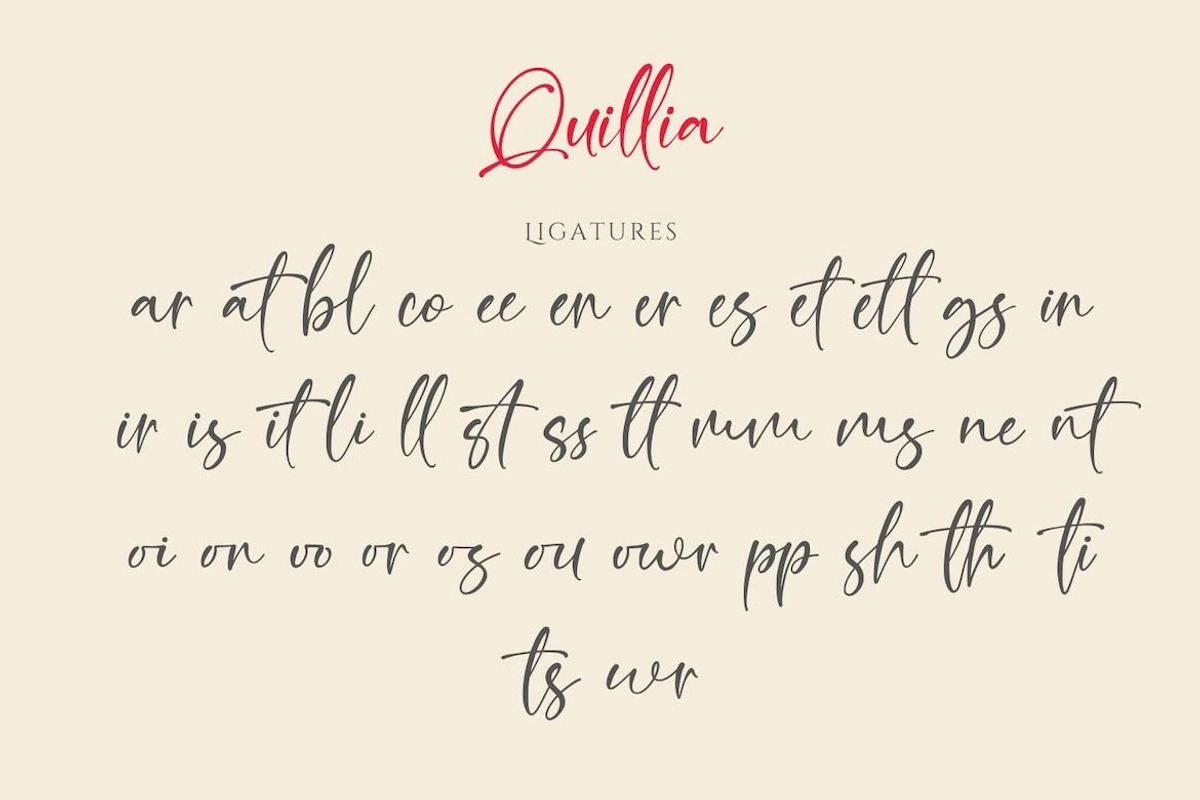 Quillia - Bold Signature Handwriting, a Handwritten Font by CreateBigSupply (Photo 8 of 10)