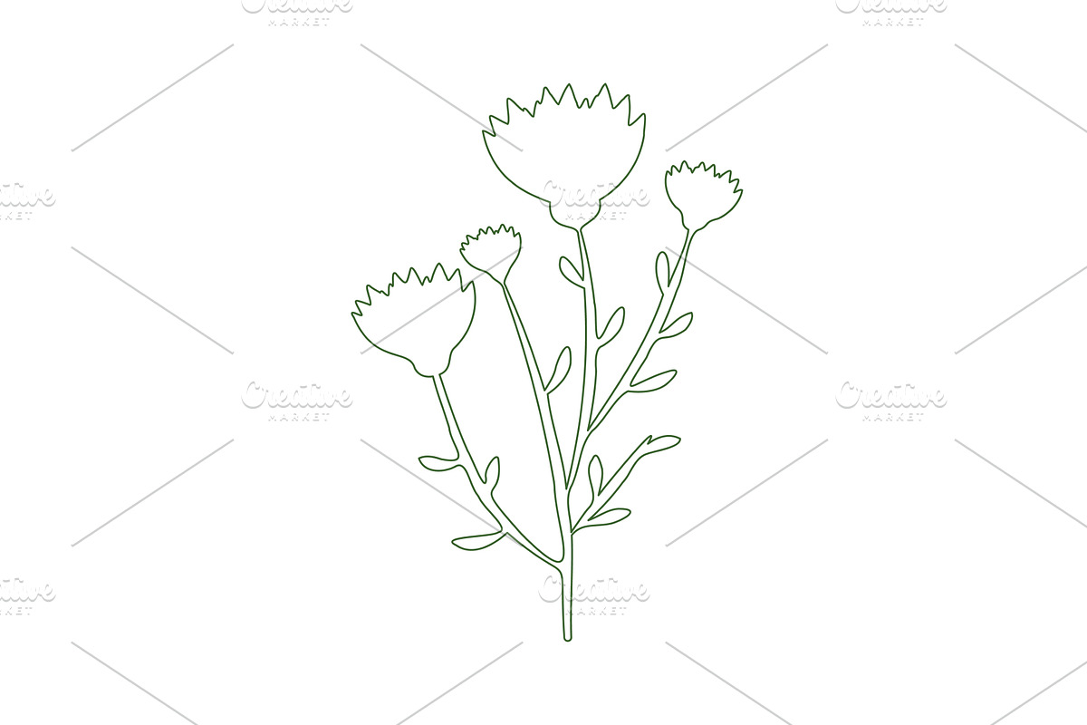 Minimalist green line art, an Object Illustration by okskukuruza