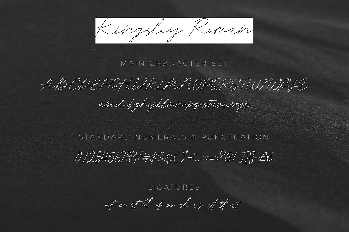 Kingsley Roman Signature Modern preview 8
