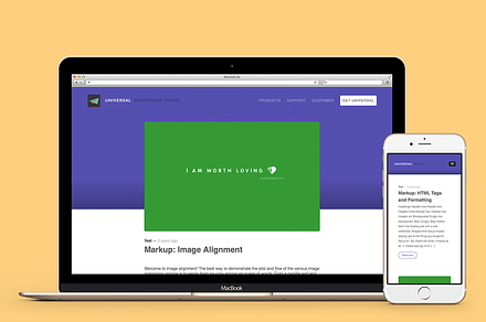 Universal WordPress Theme (45% off)