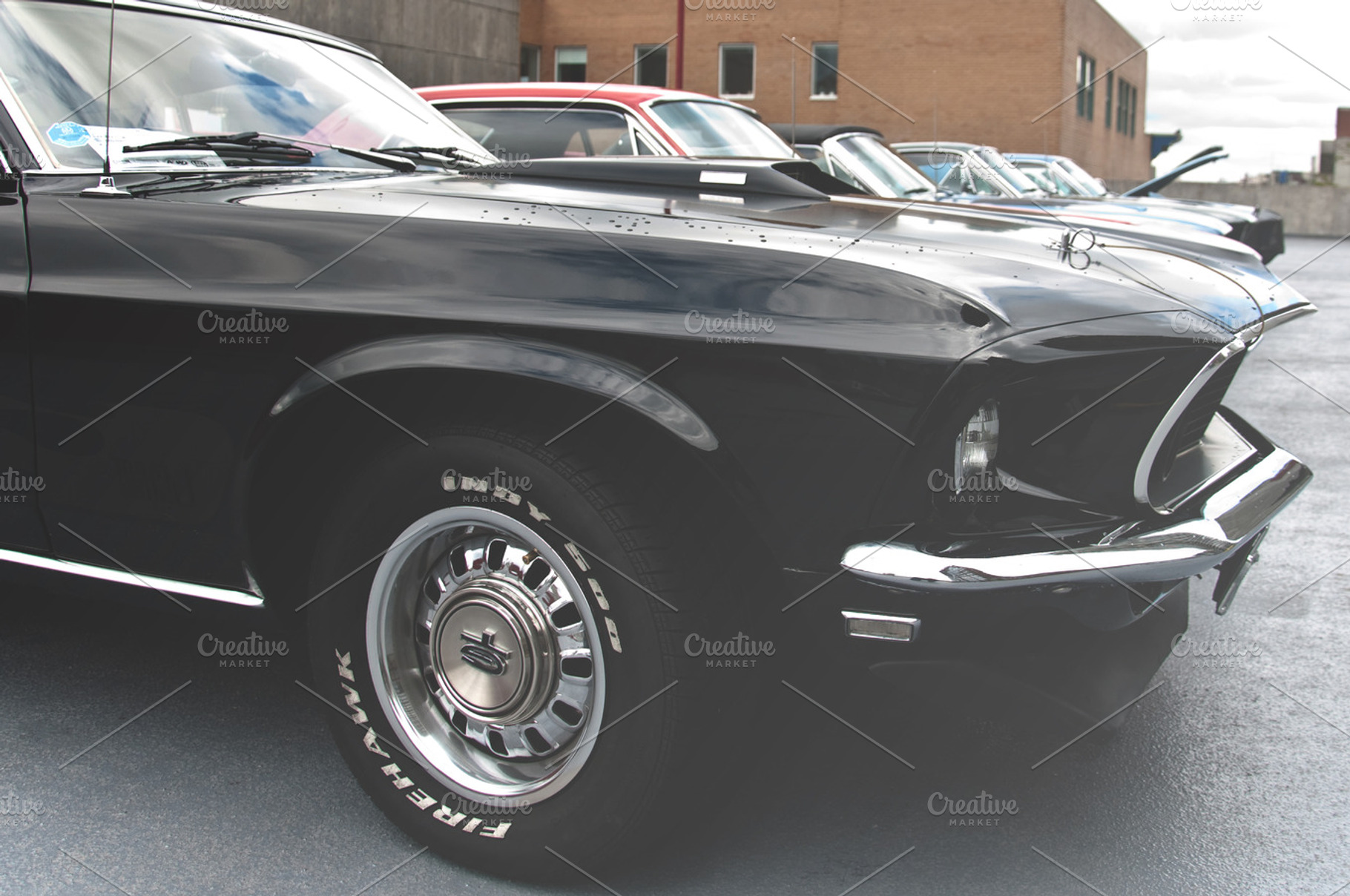 Vintage Mustang, a Transportation Photo by Colour & Curiosity