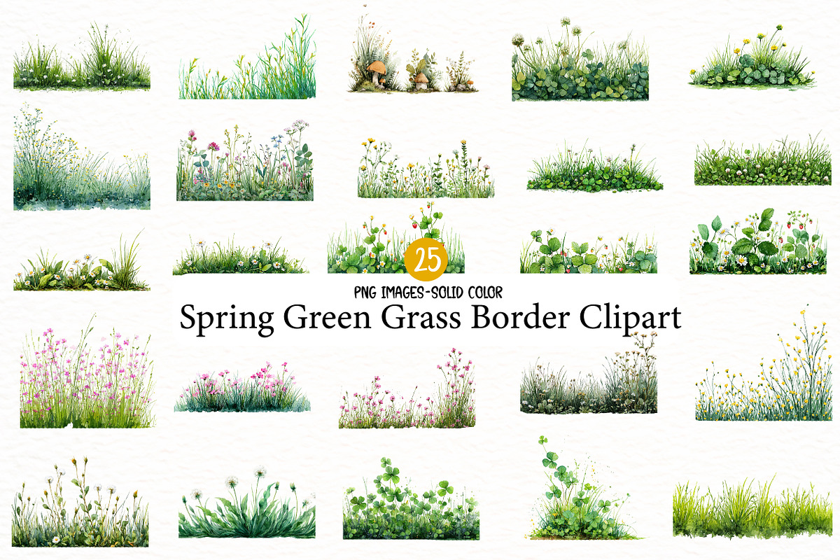 Spring Green Grass Border Clipart, an Illustration by Designworld (Photo 1 of 5)