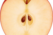 All Fruits Bundle Master Collection, a Food & Drink Photo by FlyeredTemplate (Thumbnail 123 of 130)