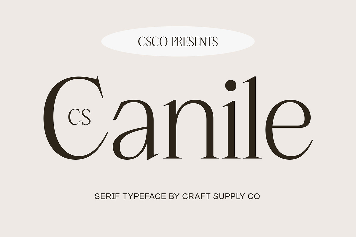 CS Canile – Serif Typeface, a Serif Font by Craft Supply Co. (Photo 1 of 8)