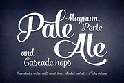 Salamander Script, a Script Font by Fenotype (Thumbnail 4 of 5)