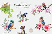 Forest Birds Watercolor Set, an Animal Illustration by AnitaPol (Thumbnail 10 of 26)