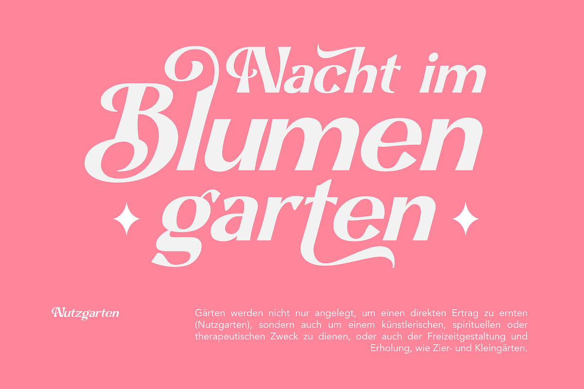 Boxes, a Serif Font by Naksatra (Photo 2 of 14)