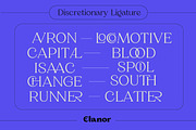 Elanor - Retro Font Classy Elegant, a Serif Font by Dirtyline Studio (Thumbnail 5 of 17)